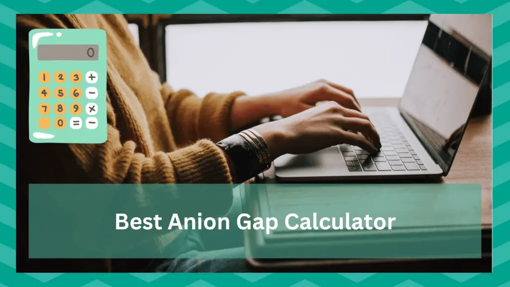 best anion gap calculator