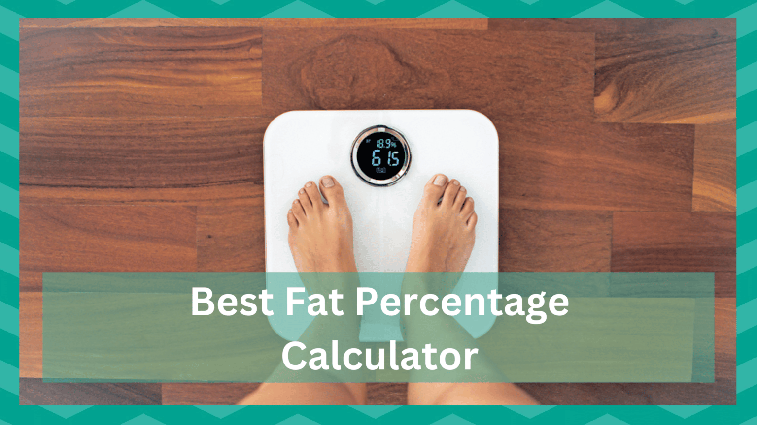 5 Best Body Fat Percentage Calculator JSCalc Blog