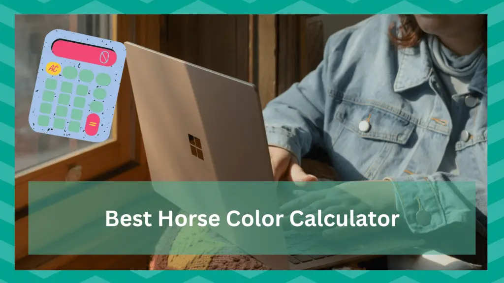 best horse color calculator