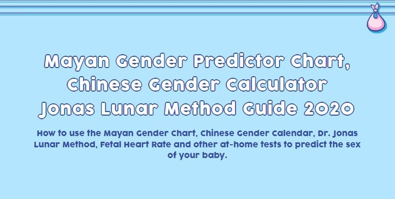 boy or girl calculator the gender experts