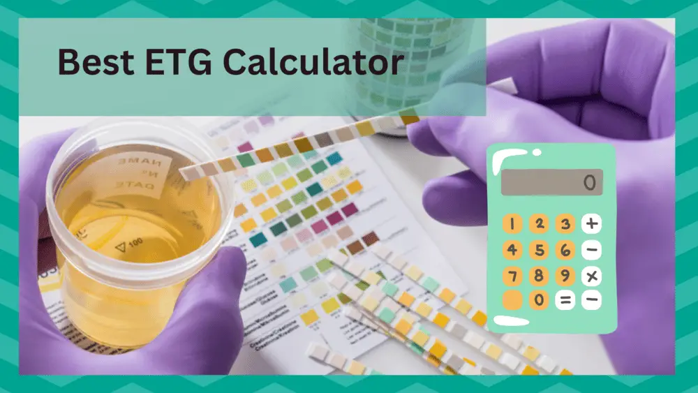 best etg calculator