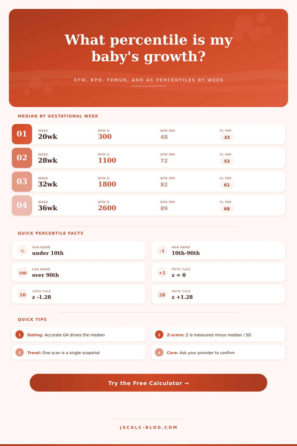 Fetal Percentile Calculator: EFW, BPD, FL, AC by GA