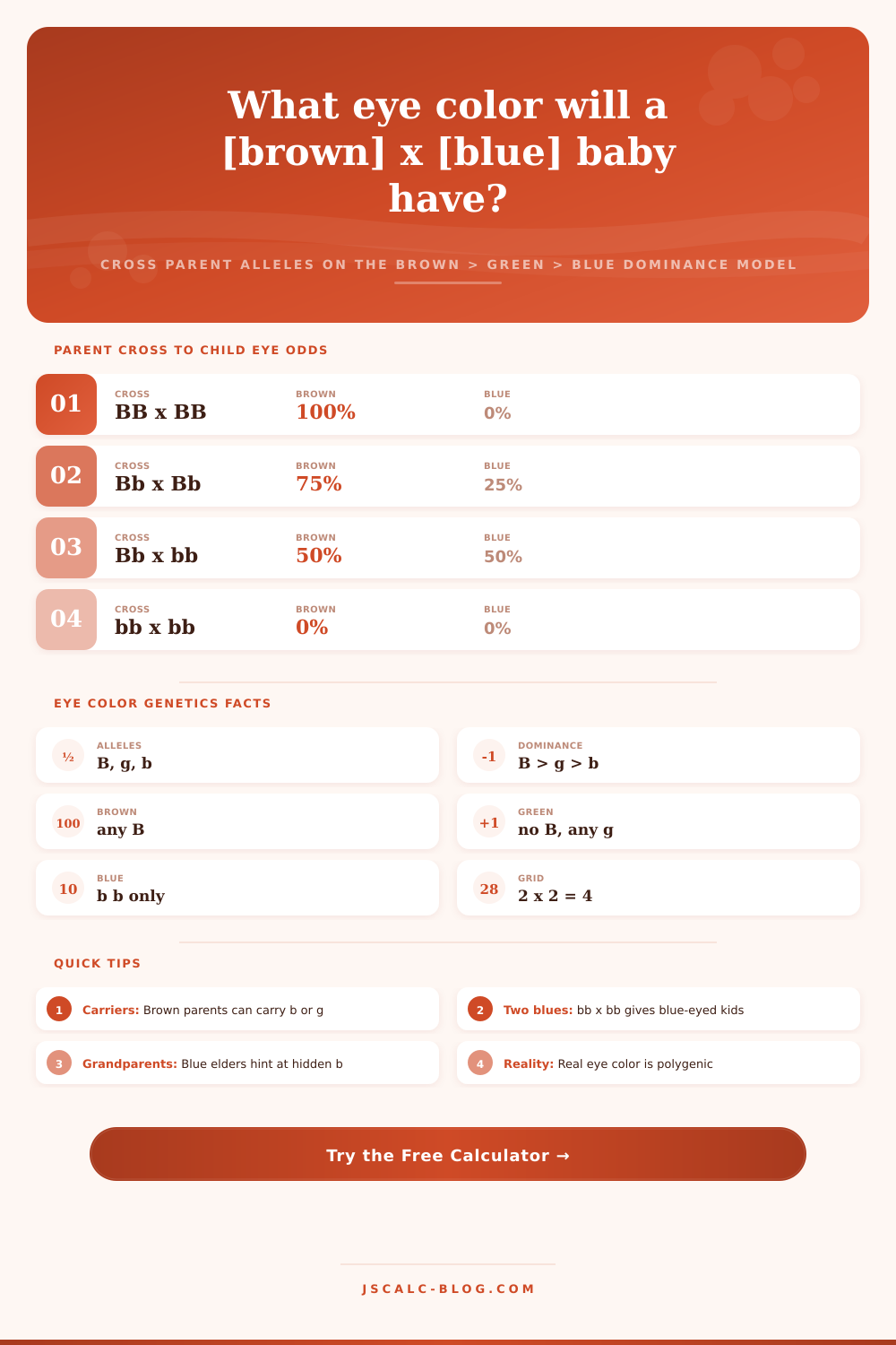 Punnett Square Eye Color Calculator